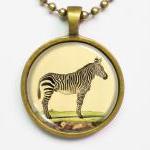 Zebra Necklace - Vintage Animal Illustration of Zebra- Altered Art Vintage Illustration